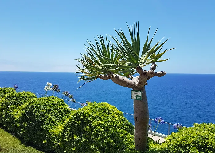 Golden 4* Funchal