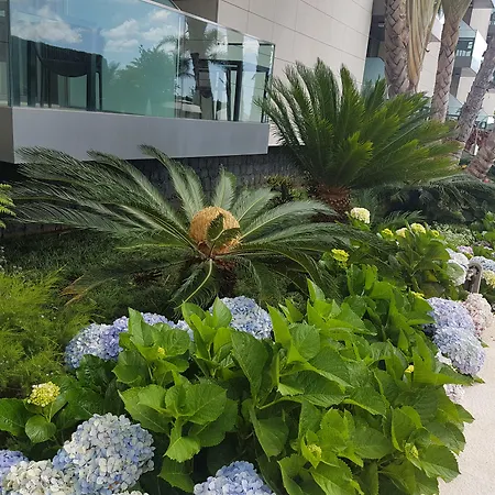 فندق غولدين ريزيدنس 4*