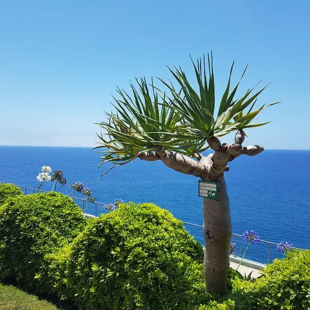 Golden 4* Funchal (Madeira)